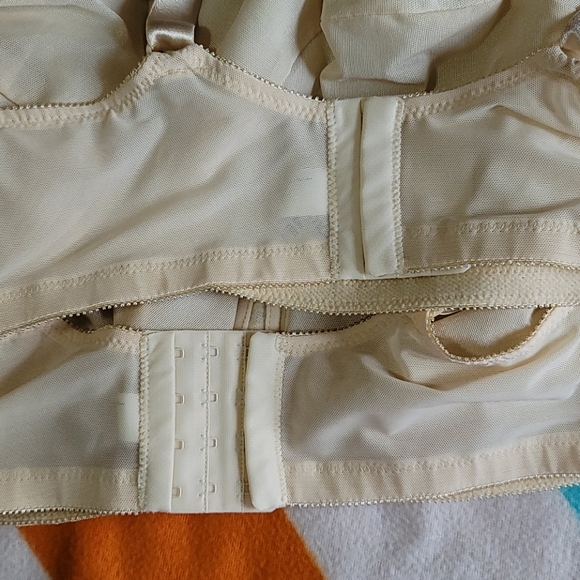 Two Bras - Picture 4 of 4